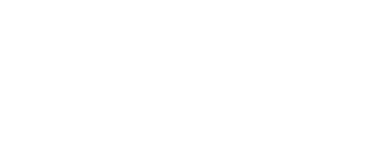 Marketing Junky Logo